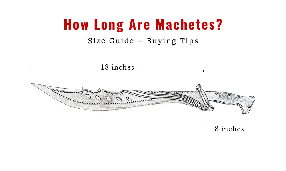 How Long Are Machetes? Sizes, Types & Buying Tips