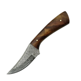 3.5 Inch Walnut Crescent Damascus Arc Drop Hunter Knife