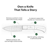 Sapphire Forge Damascus Chef Knife Set for Exceptional Culinary Precision - FWOSI
