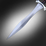 The Spartan Broadsword: Lakonia Sword - FWOSI