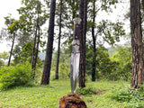 10 Inch Balance Oil Tempered Knife | Digger Knife for Precision Cutting - FWOSI