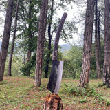12 Inch Hand-Forged Viking Axe | Decorative Collectible | Handmade Artisan Craft - FWOSI