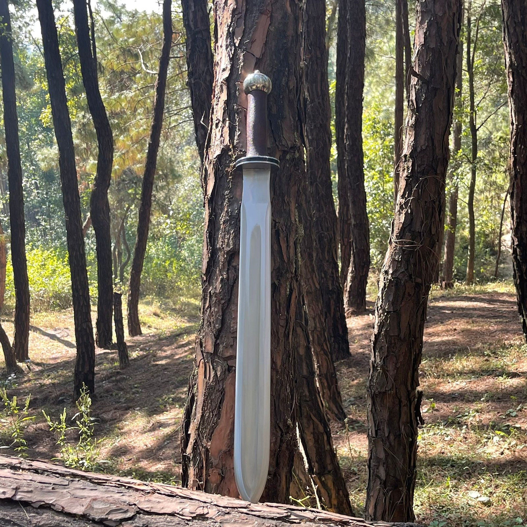 20-Inch Hand-Forged Viking Sword Collectible - Authentic Historical Decor Piece - FWOSI