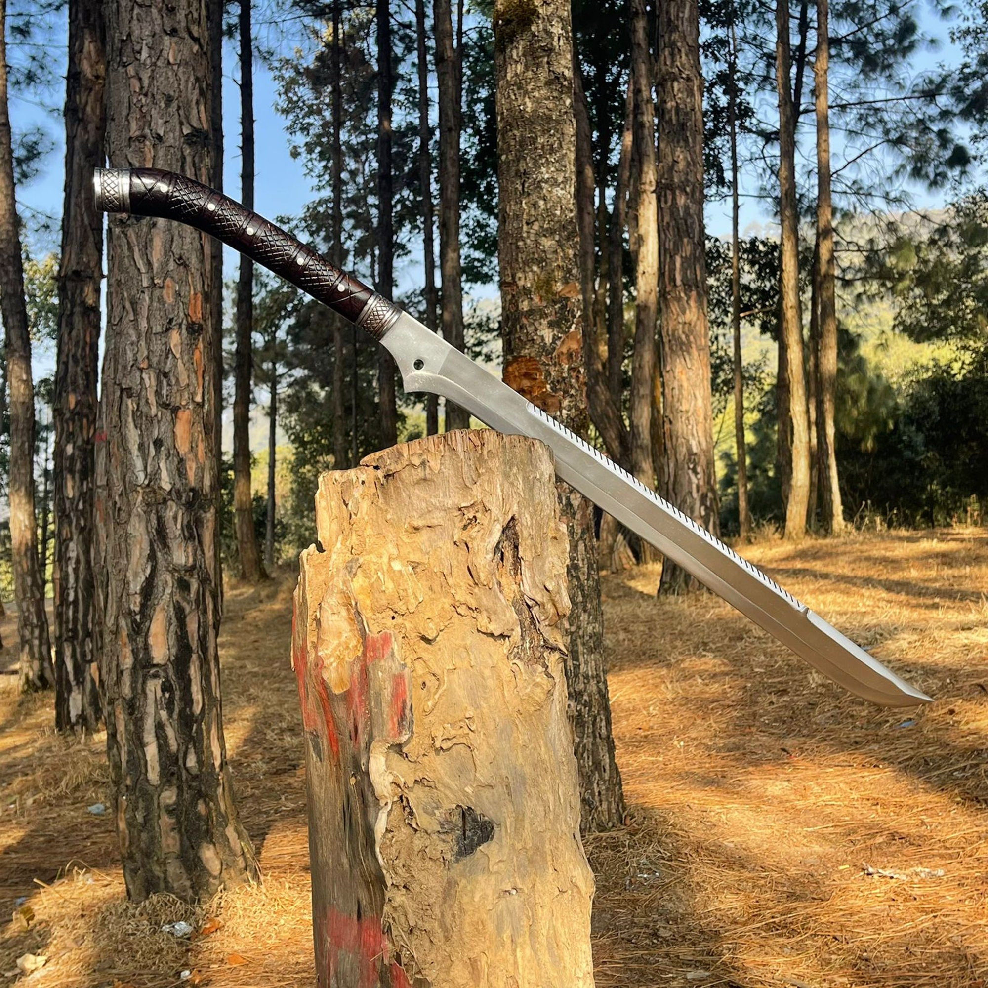 25-Inch Hand-Forged Achilles Sword Collectible | Decorative Heritage Piece - FWOSI
