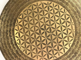 Beautiful Life Cycle Flower Gongs for a Stunning Home Decor - FWOSI